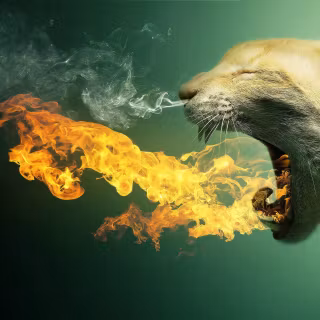 Screaming cat wallpaper