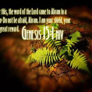 Genesis 15:1 wallpaper