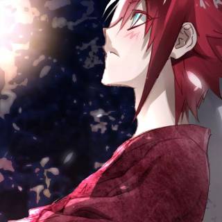 Shimon Ikaruga wallpaper