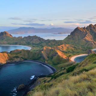 Padar Island wallpaper