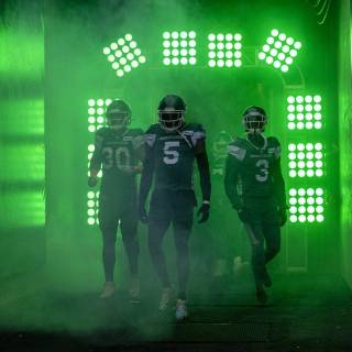 Saskatchewan Roughriders wallpaper