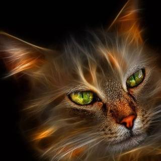 Cute cat art wallpaper