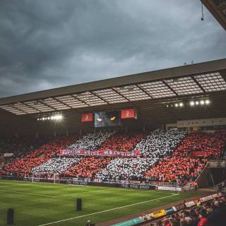 Sunderland A.F.C wallpaper