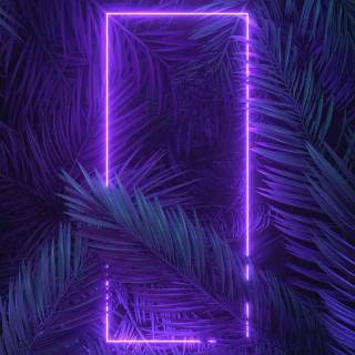 Dual monitor vertical wallpaper