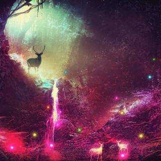 Dual monitor vertical wallpaper