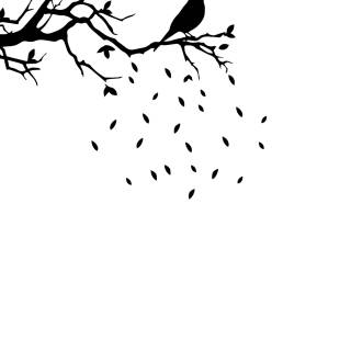 Clean black and white wallpaper