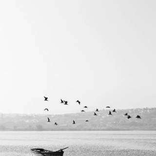 Clean black and white wallpaper