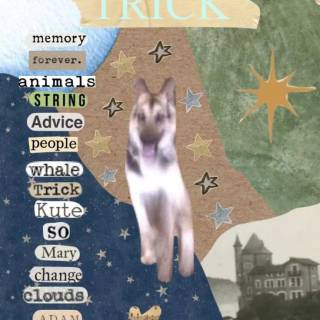 Trick Alex G wallpaper