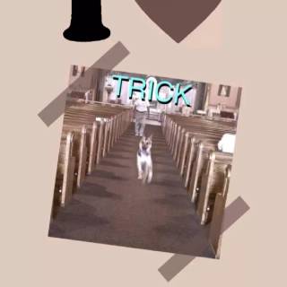 Trick Alex G wallpaper