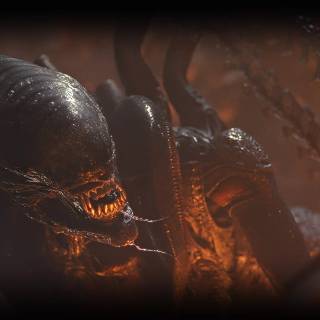 Alien desktop wallpaper