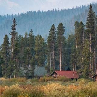 Forest village wallpaper