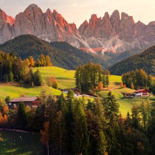 Forest village wallpaper