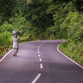 Forest village wallpaper