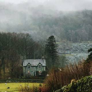 Forest village wallpaper