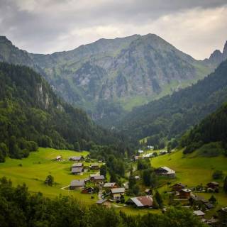 Forest village wallpaper