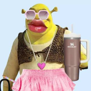 Shrek preppy wallpaper