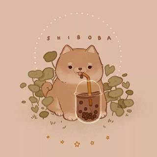 Boba puppy wallpaper