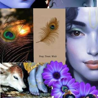 Krishna eyes wallpaper