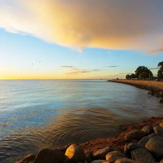 Klampenborg wallpaper