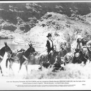 Wanda Nevada wallpaper