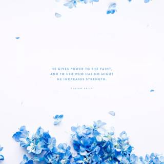 Desktop Bible scripture wallpaper