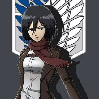 AoT Mikasa anime wallpaper