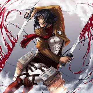 AoT Mikasa anime wallpaper
