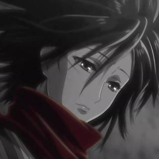 AoT Mikasa anime wallpaper