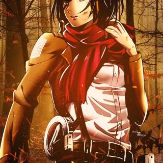 AoT Mikasa anime wallpaper