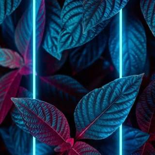 Dark neon wallpaper