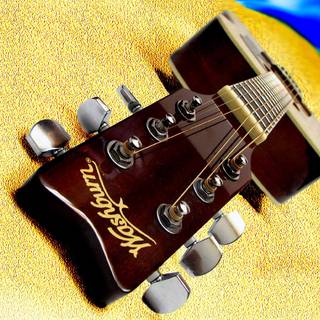 Washburn Guitars wallpaper