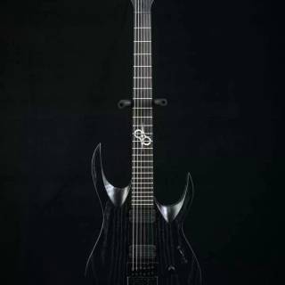Washburn Guitars wallpaper