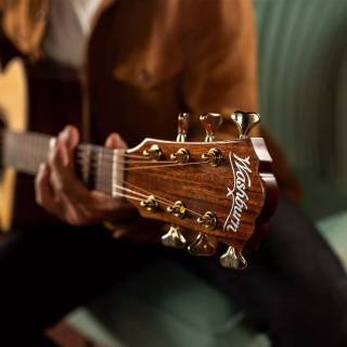 Washburn Guitars wallpaper