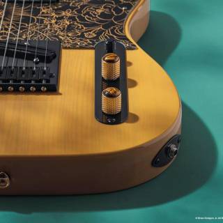 Washburn Guitars wallpaper
