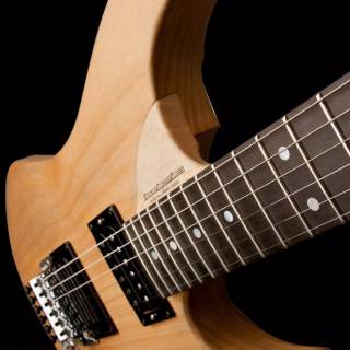 Washburn Guitars wallpaper