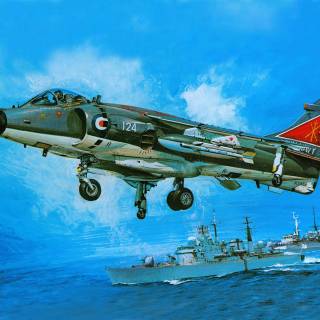 British Aerospace Sea Harrier wallpaper