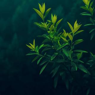 PC ultra 4k wallpaper