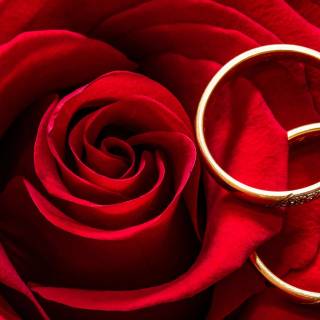 4k marriage wallpaper