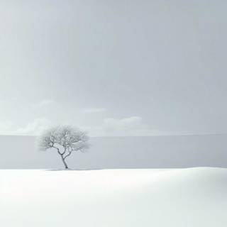 4k white minimalist wallpaper