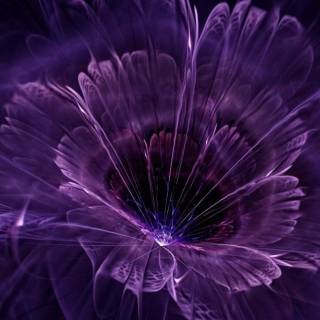 iPhone purple flower wallpaper
