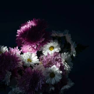 Purple flower 4k wallpaper