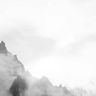 Fog iPhone wallpaper