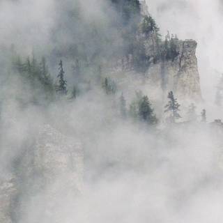 Fog iPhone wallpaper