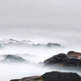 Fog iPhone wallpaper