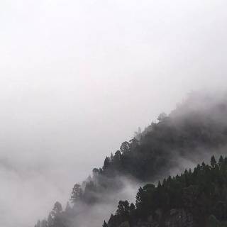 Fog iPhone wallpaper