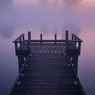 Fog iPhone wallpaper