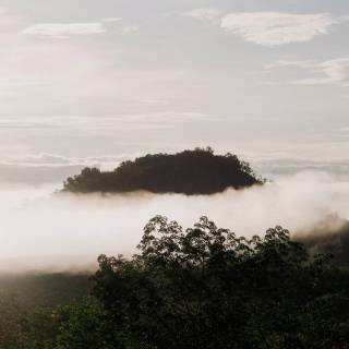 Fog iPhone wallpaper