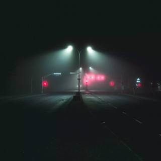 Fog iPhone wallpaper