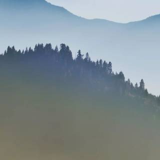 Fog iPhone wallpaper