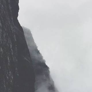 Fog iPhone wallpaper